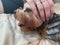 A woman is stroking a small beautiful fluffy kind Yorkshire Terrier dog with her hand, which lies on the bed