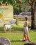 Woman in a stylish dress amidst a flock of sheep on a lush farm