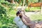 Woman in sun glasses relaxing on the chair. Summer time background. Vacation moments.