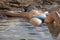 Woman sunbathing in water