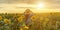 Woman sunflower field. Happy girl in blue dress and straw hat posing in a vast field of sunflowers at sunset. Summer