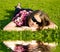 Woman in sunglasses resting on a green grass