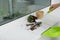 Woman sweeping away scattered soil from window sill with brush