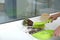 Woman sweeping away scattered soil from window sill with brush