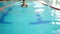 Woman swimmer in a cap and goggles swims on the lane of the pool