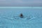 Woman swimming in infinity pool in Maldives