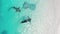 A woman swims with stingrays and sharks in the turquoise water of the sea on a white sand beach on the island of