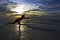 Woman with swimsuit and silhouette enjoy in morning at beach