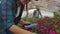 A woman with a tablet examines the flowers and presses her fingers on the tablet screen. Flower farming business