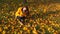 Woman take from ground bright fallen leaves, beautiful yellow bunch