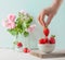 Woman takes or puts one strowberry in fruit bowl full of fresh, red strawberries against mint pastel color background