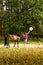 A woman takes a walk with her horse and her dog. She looks up, finds a pink balloon and grabs it.
