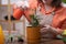 woman taking break for watering greenery around her, using a spray bottle to keep the plants healthy