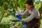 Woman taking care of garden and flowerbed