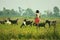 Woman taking care of her goats from Chitwan Nepal