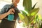 Woman taking care of home plant indoors