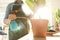 Woman taking care of home plant indoors