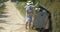 Woman Taking Out the Litter to Street Container