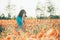 Woman taking a photo with camera the poppy field.