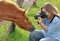 Woman taking photograph of a Pony with DSLR Camera