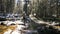 Woman taking photos by river in yosemite national park