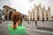 Woman taking picture of Duomo di Milano, Italy