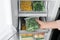 Woman taking plastic bag with green beans from refrigerator, closeup