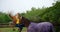 Woman taking selfie with horse on wooden fence 4k