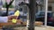 Woman is taking water from fountain into bottle