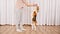 Woman teach animal command. Beagle stand up on hind legs and give five to owner. Dog training. Concept obedience
