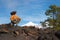 Woman at Teide volcano