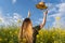 Woman throws her straw sun hat in a yellow flowers rapeseed field.Spring lifestyle,summer sunny day concept with copy space