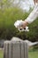 Woman throws plastic garbage in the trash. woman hand picking up garbage plastic for cleaning at park. garbage collection after a