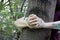 Woman tied to a tree in the forest