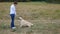 Woman to Train dog breed labrador