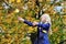 Woman tosses colorful autumn leaves in autumn park