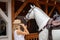 Woman touches a model of a wooden horse in the city of El Paso