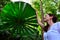 Woman touches a Palm tree leaf in Queensland Australia