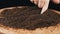 Woman Touching Dry Black Tea Granules with Finger on Rotating Wooden Background