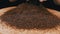 Woman Touching Dry Black Tea Granules with Fingers on a Wooden Background