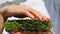 Woman is touching a fresh sprouts of arugula by finger with red manicure. Healthy food, farming at home, dieting, body