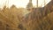 Woman touching gold wheat field in summer. Female hand touch ripe grain ear plants. Rural natural landscape