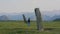 Woman tourist examines ancient stone stelts of the Turkic period in the Altai mountains