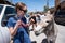 Woman tourist feeds a wild burro on the streets of Oatman Arizona, along Route 66