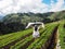 Woman tourist raise arms in strawberry farm over mountain view and blue sky background