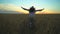 Woman tourist running in wheat field at summer sunset. Hiker traveler woman in hat with backpack hikking in nature. Girl