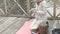 A woman tourist sits on the bridge near the river bank, feeds the dog, cooks food, picnic, active rest and healthy