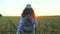 Woman tourist walking in wheat field at summer sunset. Hiker traveler woman in hat with backpack hikking in nature. Girl