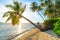 Woman with traditional asian hat relaxing on tropical beach sitting on coconut palm tree in backlight sunset sunburst real people