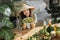 Woman in traditional conical hat holding salad from organic vegetables and fruit